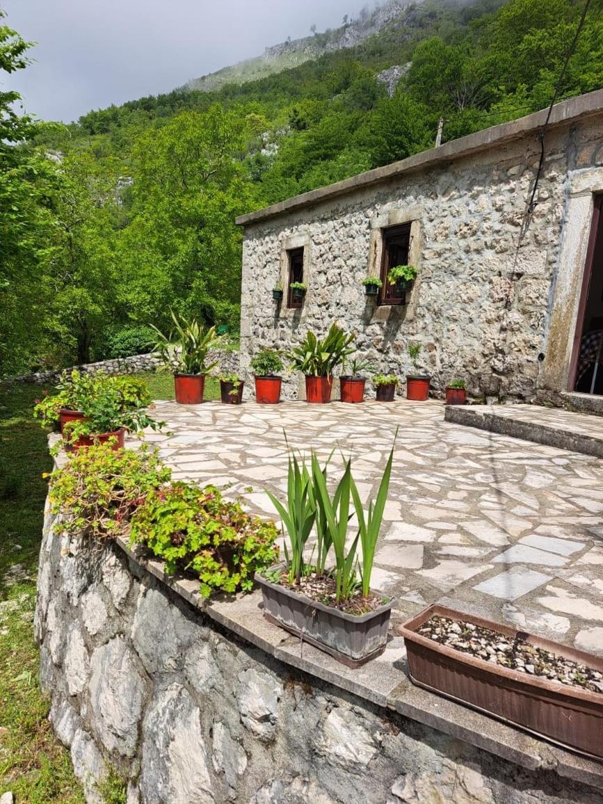 Nature Escape Montenegro Kotor Exterior photo